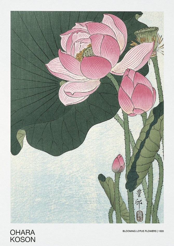 Ohara Koson - Blooming Lotus Flowers Japanese Art Print Home Décor Wall Art