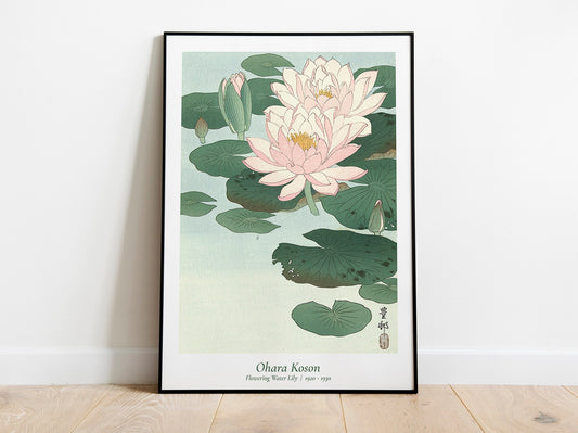 Ohara Koson - Water Lily Japanese Art Print Home Décor Wall Art