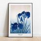 Ohara Koson - Iris Flowers Japanese Art Print Home Décor Wall Art Poster