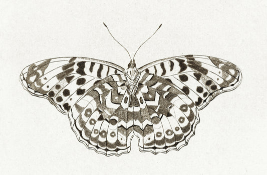 Mariposa geométrica en blanco y negro - Vlinder de Cornelis Ploos van Amstel